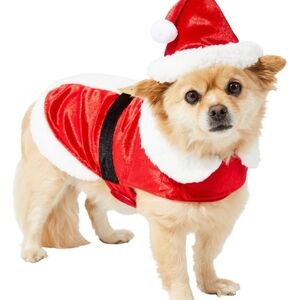 ✨ 4/$15 Small Dog Santa Costume